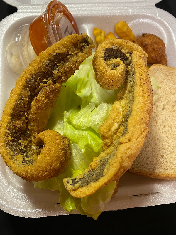 The Garden of Vegan